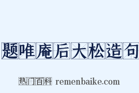题唯庵后大松造句是什么意思的图片